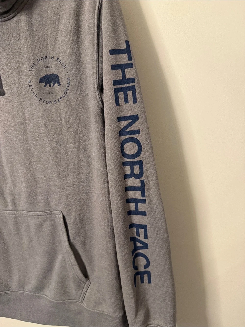 The North Face Bearscape Hoodie Hooded Sweatshirt
